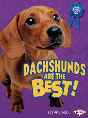 cover image of Dachshunds Are the Best!